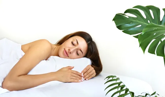 Pflanzen im Schlafzimmer