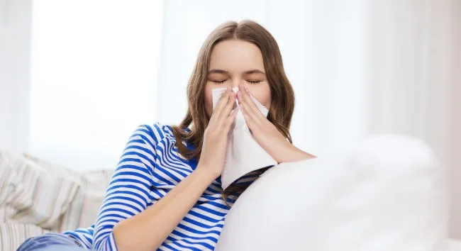 bettdecken test allergie