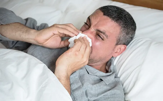 allergie federkernmatratze