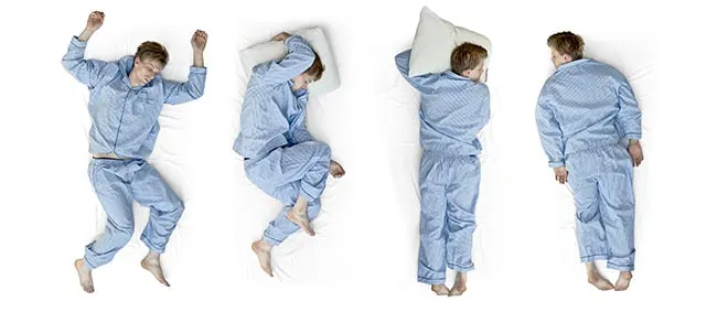 ausziehbett für erwachsene kaufberatung